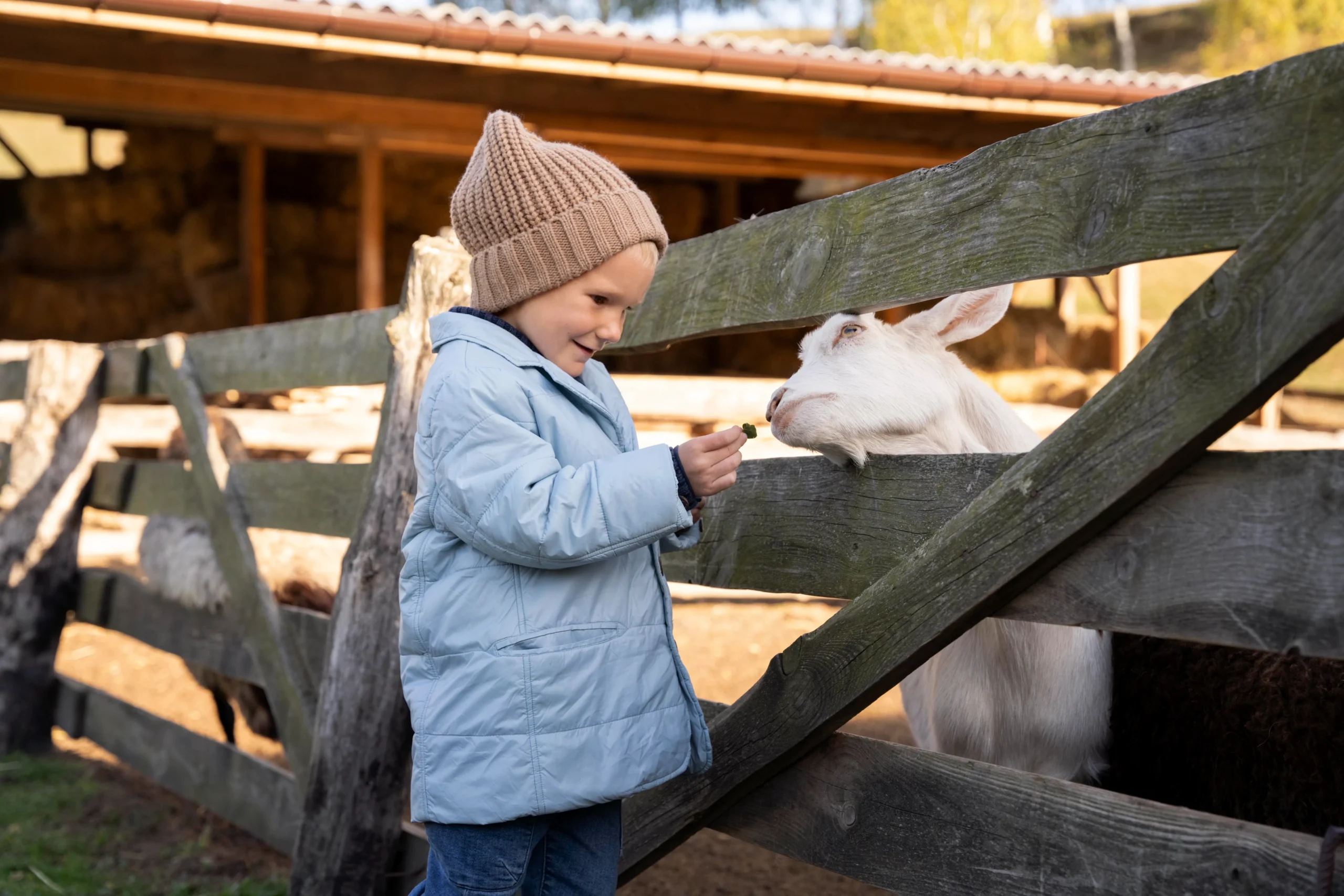 parcul de la tara, parcul la țară fotografii